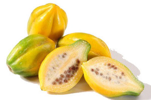 PAPAYUELA
