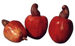 POMARROSA